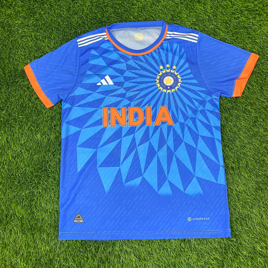 IND T20